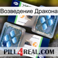 Возведение Дракона viagra5